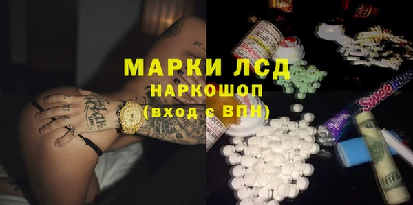 spice Снежногорск