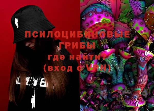 индика Снежинск