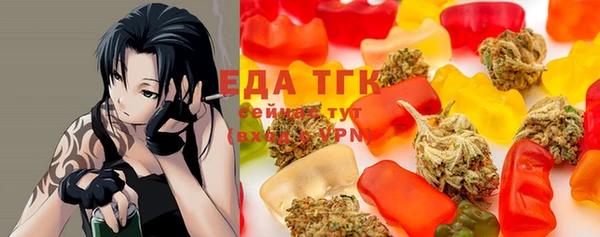 индика Снежинск
